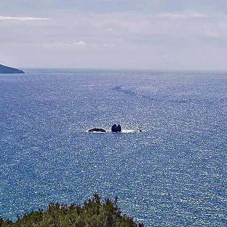 Ξενοδοχείο Pool With Panoramic Sea View - Pelekas Beach, Corfu Corfu (city)